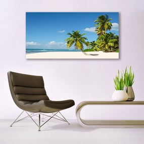 Obraz plexi Pláž palma more krajina 120x60 cm