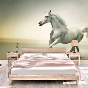 Sablio Tapeta Biely kôň 2 - 336x220 cm
