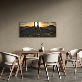 Obraz - kaktusy v slnku (120x50 cm)