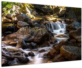 Obraz kamenistého potoku (90x60 cm)