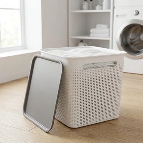Rotho Úložný box s vekom a s madlami BRISEN 18l, 29x29x29cm, biely