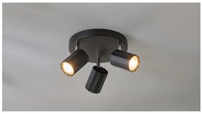 Livarno home Stropné svietidlo (stropné bodové svietidlo, matná čierna)  (100393031)