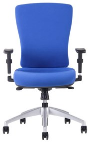 Kancelárska ergonomická stolička Office Pro HALIA BP – bez podhlavníka, viac farieb Sivá  2625