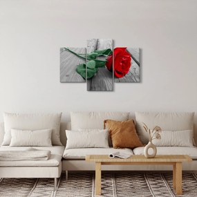 Obraz - Červená ruža so zelenou stonkou (90x60 cm)