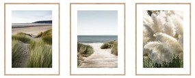 Obrazy v súprave 3 ks 30x40 cm Beach – knor
