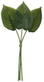 3 okrasné listy Philodendron - 30cm