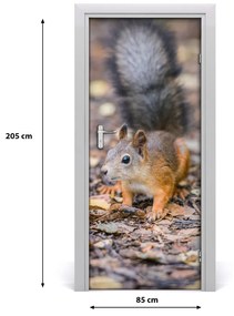 Samolepiace fototapety na dvere Veverička v lezie 85x205 cm
