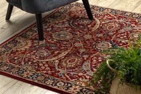 Koberec KESHAN, strapce 6650/53578 terakota / béžový