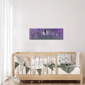 Obraz - Motýľ v levanduli (s hodinami) (90x30 cm)