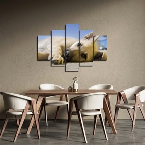 Obraz ležiaceho šteňaťa (150x105 cm)