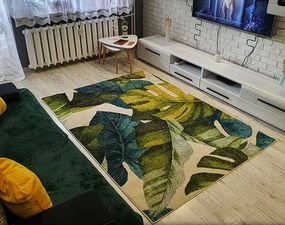 Koberec Green Garden 747 s motívom listov – viacfarebný Rozmer: 80x150 cm