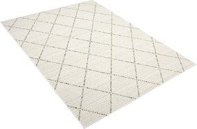 TA Koberec 19436/062 DŽUNGĽA Rozmer: 80x150 cm