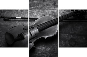 Obraz - Viola (90x60 cm)