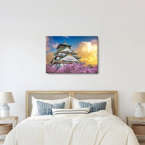 Obraz - Osacký hrad (70x50 cm)