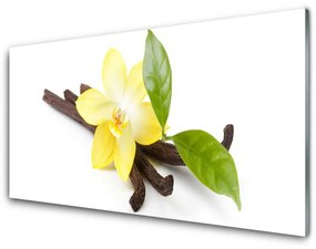 Sklenený obklad Do kuchyne Vanilka listy rastlina 100x50 cm