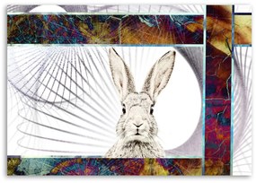 Obraz na plátně Zvířata králíků - 60x40 cm