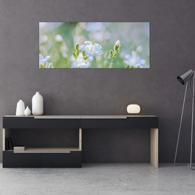 Obraz - Jemné kvety (120x50 cm)