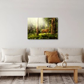 Sklenený obraz jeleňa v lese (70x50 cm)