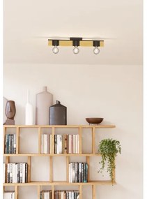 Eglo 43901 - Stropné svietidlo BAILRIGG 3xE27/40W/230V
