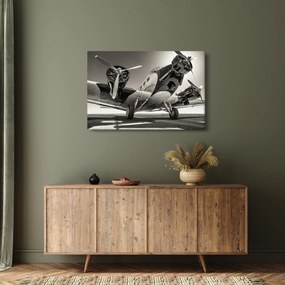 Obraz - Historické lietadlo (90x60 cm)