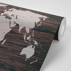 Samolepiaca tapeta mapa sveta na dreve - 450x300