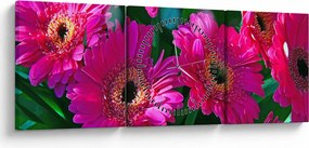 Obraz - kvety (s hodinami) (90x30 cm)