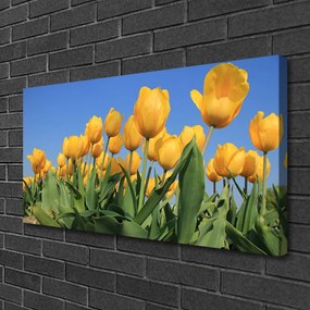 Obraz Canvas Tulipány kvety rastlina 120x60 cm