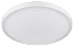 STRÜHM Stropné svietidlo FABIO LED C 24W Neutral White 4008