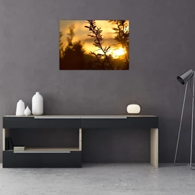Sklenený obraz - Slnko zapadajúce za stromami (70x50 cm)