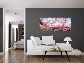 Obraz - Hirosaki, Japonsko (120x50 cm)