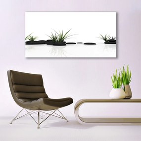 Obraz plexi Tráva kamene umenie 120x60 cm