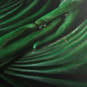 Obraz - Ruka Budhu (70x50 cm)
