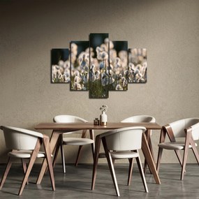 Obraz - Biely páperník (150x105 cm)