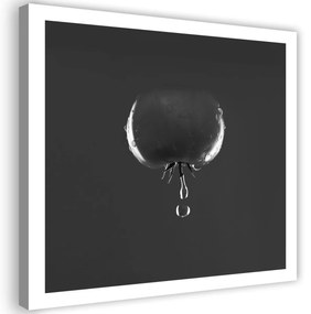 Obraz na plátně Rajče Zelenina Kapka vody - 40x40 cm