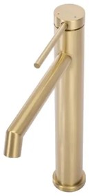 REA-B5319 - Umývadlová batéria FOSS 29,5 cm brúsené zlato