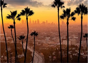 Obraz - Panorama Los Angeles (70x50 cm)
