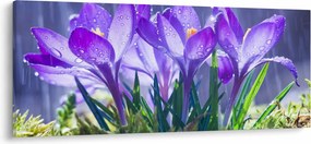 Obraz kvetov v daždi (120x50 cm)