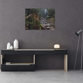 Sklenený obraz - V lese (70x50 cm)