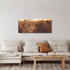 Obraz kvitnúcej trávy (120x50 cm)