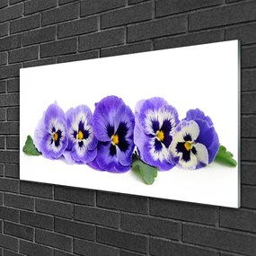 Skleneny obraz Plátky kvet sirôtky 120x60 cm
