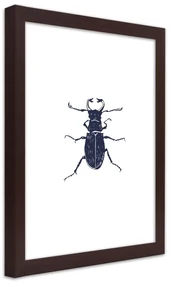 Gario Plagát Čierny chrobák Farba rámu: Bez rámu, Rozmery: 30 x 45 cm