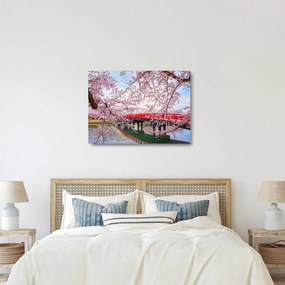 Sklenený obraz - Hirosaki, Japonsko (70x50 cm)
