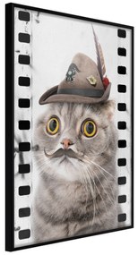 Artgeist Plagát - Cat In Hat [Poster] Veľkosť: 20x30, Verzia: Zlatý rám