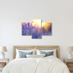 Obraz - Levanduľa (90x60 cm)