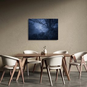 Sklenený obraz temného lesa (70x50 cm)