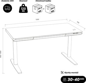 Elektrický písací stôl sit-stand so zásuvkou a bezdrôtovou nabíjačkou Qi biely/zlatý dub, 1200 mm: ELLIS