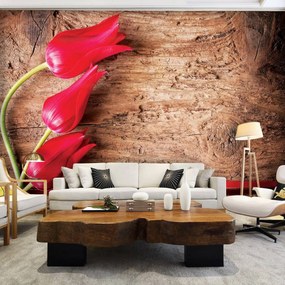 Fototapeta - Tulipán, drevo, stuha (152,5x104 cm)