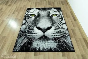 Koberec Rainbow 11179/190 tiger