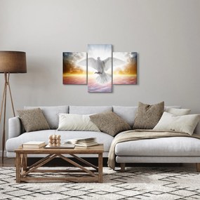 Obraz holubice (90x60 cm)