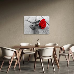Sklenený obraz červených ruží (70x50 cm)